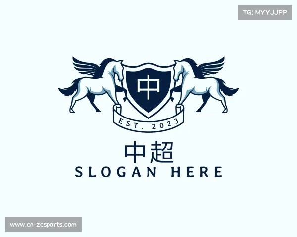 了解中超